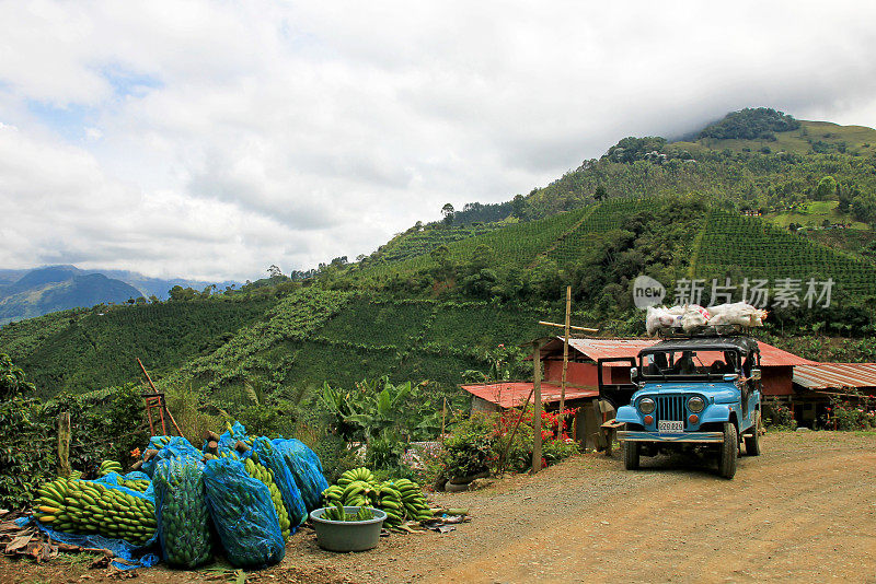 哥伦比亚安蒂奥基亚El Jardin附近，正在装载香蕉运输